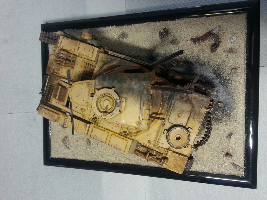 Panzer II taken a direct hit Small 8
