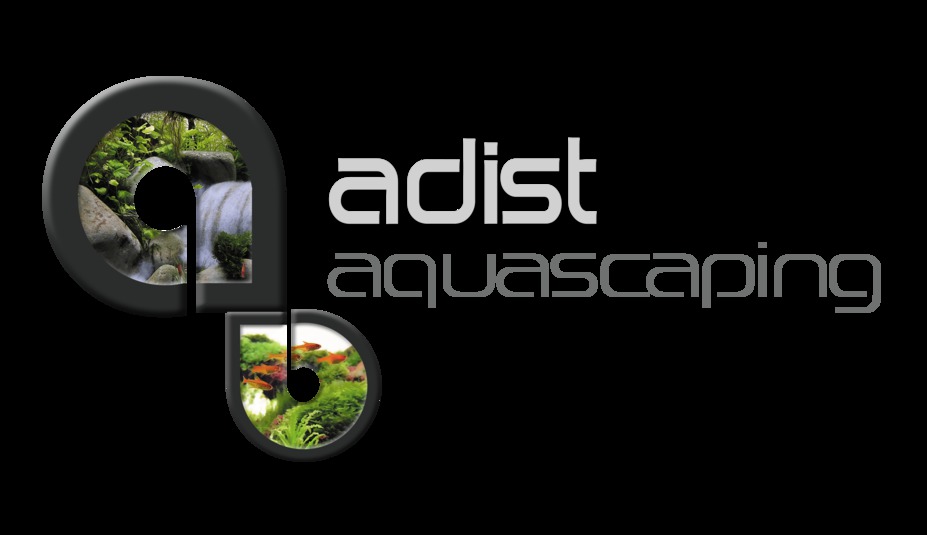 Adist Aquascaping