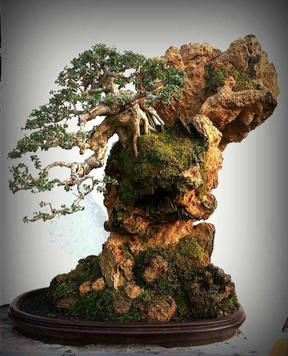 Carving Rock for a Penjing title=