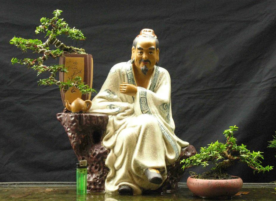 The wise man bonsai