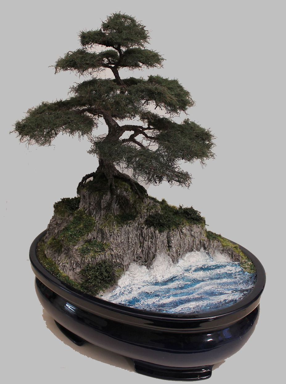 Pine tree on a rock Small 2
