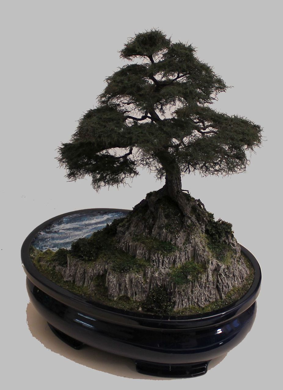 Pine tree on a rock Small 3