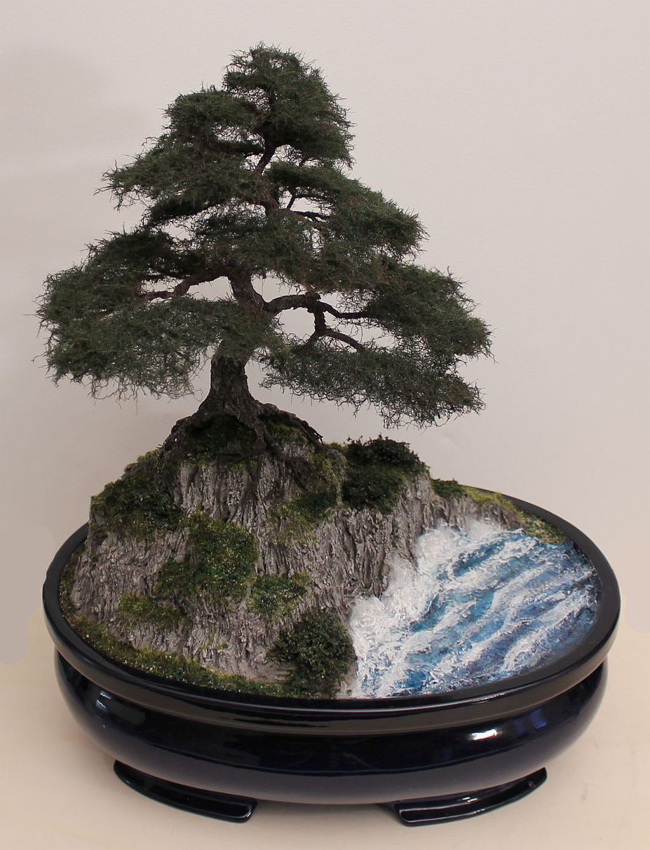 Pine tree on a rock Small 5